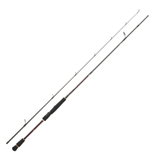 Daiwa infeet seabass - daiwa,
